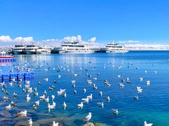 -青海湖国家重点风景名胜区