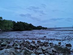 -宝安西湾红树林湿地公园