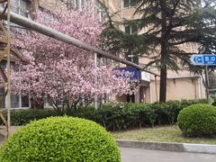 -同济大学(沪西校区)