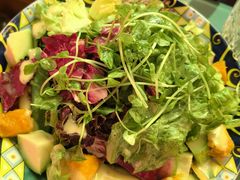 夏日沙拉insalata-BOTTEGA意库(中骏世界城店)