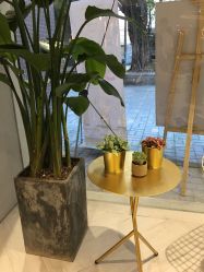 -苏豪路易士·嘉玛发廊