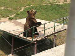 -宿豫区运河湾森林动物园