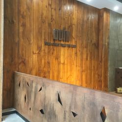 点击看大图 -ODIN 奥丁形象设计