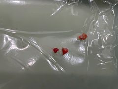 -泰康拜博口腔(凯迪大厦店)