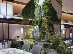 -阿露佳·舌尖上的安吉菜