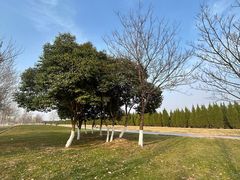 -汉长安城未央宫国家考古遗址公园