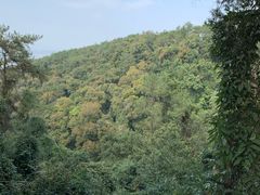 -白云山风景名胜区