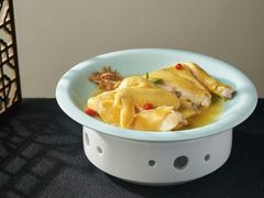 -鸽小宝(深圳首店)