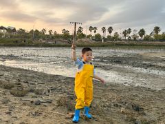 -北海金海湾红树林生态旅游区