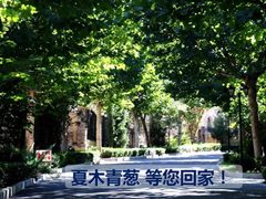 -天鹅湖生态旅游风景区