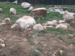 -西安秦岭野生动物园