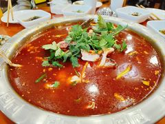 -刘胖娃鱼庄·特色肥肠鱼(杨家坪店)