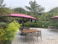 -荷风细雨·中国茶宴(碧云店)