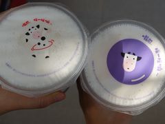 -一只酸奶牛(八一路店)