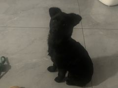 -复兴未来·轰趴空间(泰富百货店)