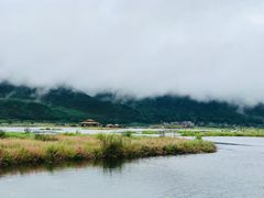 -腾冲北海湿地