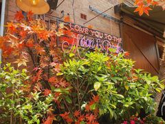 -The Grounds of Alexandria