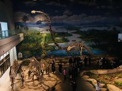 -自贡恐龙博物馆