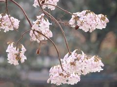 -红星桥(地铁站)