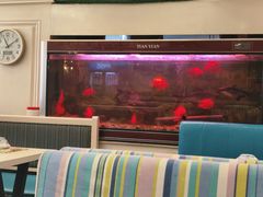 -阿拉丁新疆风味餐厅·清真(罗廊巷店)