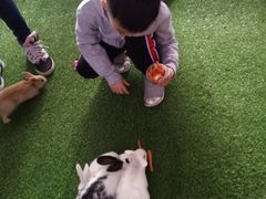 -哈尔滨波塞冬海底世界