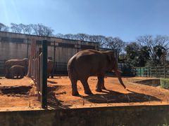 -昆明动物园
