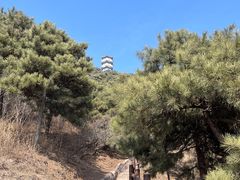 -北京十三陵国家森林公园蟒山景区