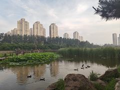 -前关湿地公园