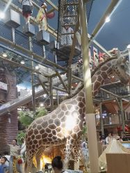 -卡通尼·Safari非洲探索乐园·生日会(金桥国际商业广场店)