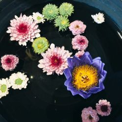 点击看大图 -素可SPA