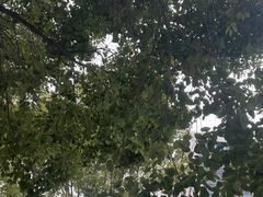 -永丰面馆(汉口路店)
