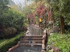 -麦积山温泉