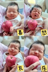 点击看大图 -大美母婴月子专护中心(紫峰店)