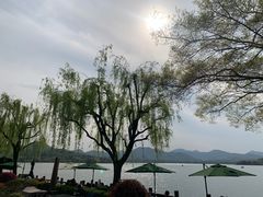 -杭州西湖柳莺里酒店·闻莺厅