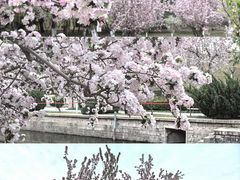 -元大都城垣遗址公园