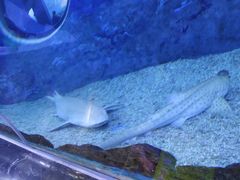 -多彩贵州城极地海洋世界