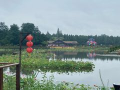 -东平国家森林公园