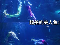 -郑州海洋馆