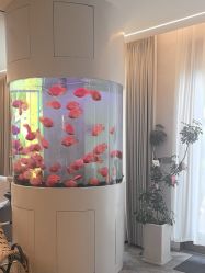 -新蝶变皮肤管理中心