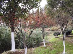 -艾溪湖湿地公园