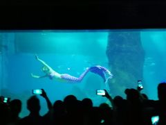 -北戴河圣蓝海洋公园