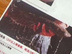 -印象鲵宴·张家界地标美食名片(溪布街店)