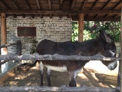 -广东省拱北口岸中国旅行社(华宾营业部)