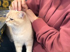 -平行世界·猫咖(首经贸店)