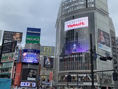 -涩谷区