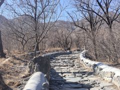 -阳台山自然风景区