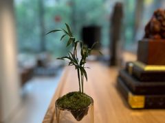 -后卫寨猫耳朵(后卫寨店)