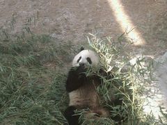 -西安秦岭野生动物园