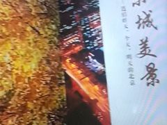 -白石桥南(地铁站)