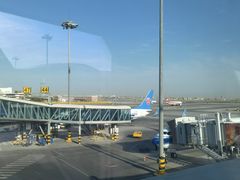 -乌鲁木齐天山国际机场-T3航站楼